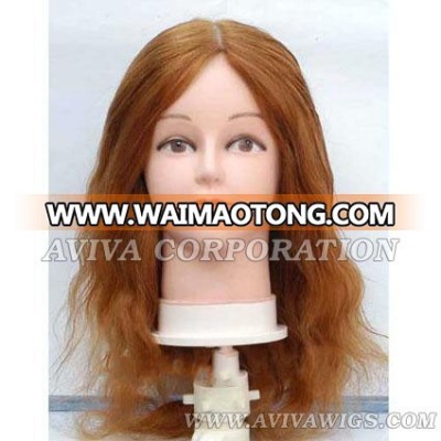 Human Hair Training Head (AV-TH010)